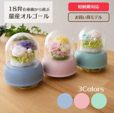 オルゴール付きボックスフラワーアレンジメント(シンデレラ