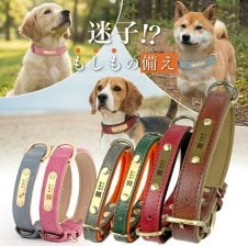 Oh my dog! オーマイドッグオードトワレ100ml香水スプレー☆ドッグ