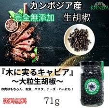 カンボジア 生コショウ 塩漬け こしょう コショウ 胡椒 【 71g×2 142g