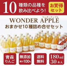 青森県産 りんごジュース WONDER APPLE 赤~いりんごジュース 1000ml 3