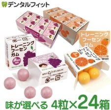 キシリトールガム 歯科専用 味が選べる ポスカ・エフ(POs-Ca F)パウチ