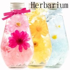 ハーバリウム 角瓶 カラフル | フラワー 瓶 花 ギフト プレゼント