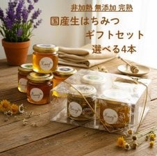 贈り物におすすめ 山田養蜂場 山田養蜂場 国産蜂蜜3本セット ギフト