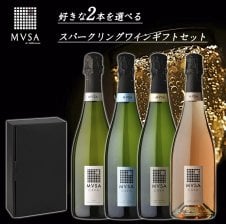 ☆ 送料無料 ☆ モエ・エ・シャンドン5種 + ヴーヴクリコ 2種 飲み