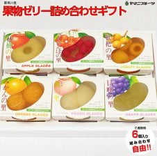 ☆ご進物用 果物ゼリー詰め合わせギフト 5つ入り☆【送料無料/熨斗対応