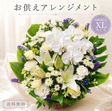 お供え】胡蝶蘭メインで華やかにお供え【アレンジ】御供 お盆 秋彼岸