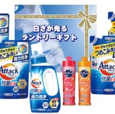 P&G アリエール液体洗剤セット PGCG-15E 日用品雑貨 文房具 手芸日用品
