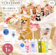 タンバリンズ TAMBURINS パフュームシェルXハンドクリーム PUMKINI