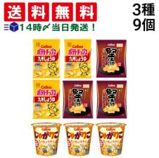 送料無料 】 丸美屋 どんぶり ごはん付き ランダム10種類 食べ比べ