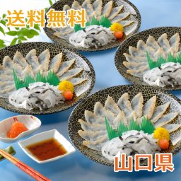 【送料無料】真ふぐたたき刺身セット 4皿セット【誕生日 結婚祝い 出産祝い 還暦祝い 結婚記念日 送別会 お祝い 引越し祝い 新築祝い 初節句 古希 喜寿 傘寿 お返し 内祝い お見舞い 快気祝い 金婚式 銀婚式 パーティー 景品 賞品 グルメ 母 父 女性 男性 両親 友達 親戚 上司 先輩 後輩 家族 子供 大人 彼氏 彼女 夫婦】【お歳暮 ハロウィン】
