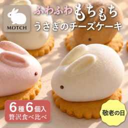 MOTCH うさもっち 6種6個入【個包装 和洋菓子 もちもち 差し入れ チーズケーキ 餅 ケーキ うさぎ ギフト 内祝  おしゃれ 可愛い 誕生日 東京土産 バースデー 出産内祝 手土産 詰め合わせ プチギフト  お礼 職場 秋ギフト 敬老の日 ハロウィン】