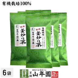 日本茶 お茶 茶葉 特選 釜炒り茶 100g×6袋セット 健康 国産 緑茶 ギフト プレゼント プチギフト お茶 敬老の日 御中元 2026 内祝い 還暦祝い 男性 女性 父 母 贈り物 香典返し 挨拶品 お土産 おみやげ お祝い 誕生日 祖父 祖母 お礼 夫婦