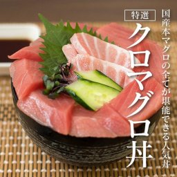 【特選】クロマグロ丼 国産の本マグロを使った高級鮪丼 鉄火丼 大トロ 中トロ 赤身など本まぐろを120g♪マグロ漬け丼やお刺身にも。お中元にも。魚介類・水産加工品 御祝  母の日 父の日 敬老の日 お中元 お歳暮