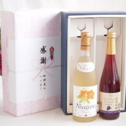 冬の贈り物お歳暮 感謝の贈り物ボックス プレミアムなナイアガラワインと国産ワインセット 信州巨峰スパークリングワイン やや甘口(長野県)500mlおたる完熟ナイアガラ甘口白ワイン720ml