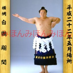 白鵬翔関　優勝ミニ額 大相撲ミニ額 大相撲優勝額　平成２２年５月場所 全勝 横綱 白鵬翔関（１４回目の優勝） ※受注生産品のため、ご注文後はいかなる理由でも返品、返金はできません