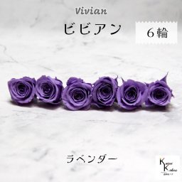 大地農園！プリザーブドフラワー 「ビビアン ラベンダー 6輪」  プリザ 花材 ハーバリウム  おしゃれ かわいい プレゼント 贈り物 オオチノウエン バラ 薔薇 ローズ rose