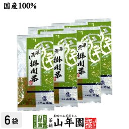 【掛川茶】掛川深蒸し茶100g×6袋セット 深蒸し茶 煎茶 国産 茶葉 静岡茶 お茶 緑茶 ギフト 敬老の日 2026 プチギフト お茶 内祝い プレゼント 還暦祝い 男性 女性 父 母 贈り物 香典返し お土産 おみやげ お祝い 誕生日 祖母 おじいちゃん
