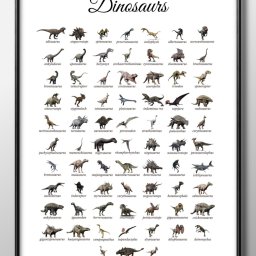 恐竜図鑑Dinosaurs Poster A3 サイズ ポスター アート おしゃれ 絵画 インテリア 北欧 イラスト マット紙 艶消し アートパネル 額 フレーム デザイン 壁掛け ギフト 新築祝い ディスプレイ 引越し祝い　新生活　空間デザイン 