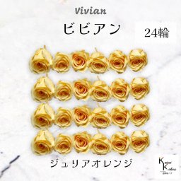 大地農園！プリザーブドフラワー 「ビビアン ジュリアオレンジ 24輪(1箱)」  プリザ 花材 ハーバリウム  おしゃれ かわいい プレゼント 贈り物 オオチノウエン バラ 薔薇 ローズ rose