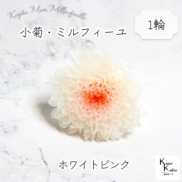 大地農園「小菊ミルフィーユ ホワイトピンク 1輪」プリザーブドフラワー　プリザ　ハーバリウム　小花 ドライフラワー ハーバリウム アロマワックスバー