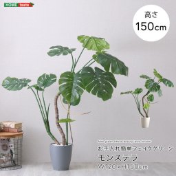 観葉植物 フェイクグリーン モンステラ Mサイズ(150cm) 鉢付き 完成品 人工観葉植物 お手入れ簡単 水やり不要 リアル 南国 室内 インテリア 玄関 リビング オフィス お祝い プレゼント
