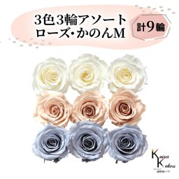 大地農園 「ローズかのんM 3色×3輪アソート 計9輪」 「アンティックホワイト シャンパンピンク ダスティーブルー」　プリザーブドフラワー バラ プリザ 花材 ハーバリウム おしゃれ かわいい プレゼント 贈り物 オオチノウエン