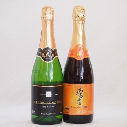 スパークリングワイン飲み比べ2本セット(キャンベルスパークリング赤ワインやや甘口 塩尻ナイアガラスパークリング白ワインやや甘口) 720ml×2本