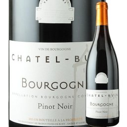 シャテル・ビュイ・ブルゴーニュ・ピノ・ノワール 赤ワイン 750ml フランス ブルゴーニュ 2021年 ピノ・ノワール ワイン 赤 本格派 Vignerons de Bux ヴィニュロン・ド・ビュクシー 2101010009835