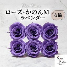 大地農園 「ローズかのんM ラベンダー 6輪」 プリザーブドフラワー バラ プリザ 花材 ハーバリウム おしゃれ かわいい プレゼント 贈り物 オオチノウエン