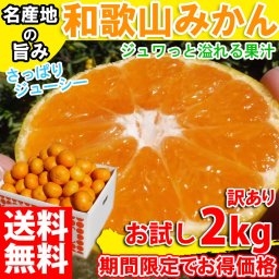 【10月中旬から順次発送予約販売】みかん 訳あり 2kg 和歌山みかん 温州みかん 和歌山県産 産地直送 晩生蜜柑