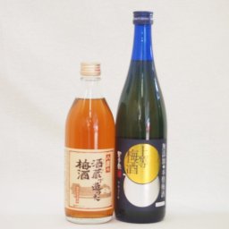 梅酒2本セット(八鹿の酒蔵で造った梅酒(大分) 無添加上等梅酒(鹿児島)) 500ml×1本 720ml×1本