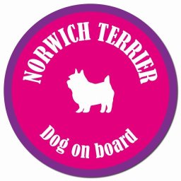 カラフル Dog on board ノーリッチテリア ピンク&パープル カーサイン 車 マグネットステッカー 犬 マグネット 強力 直径13cm 丸型 おしゃれ かわいい ドラレコステッカー 安全対策 危険運転 煽り運転 アニマル 動物 犬種別 屋外 防水 屋内