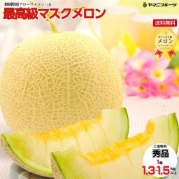 静岡産高級ヤマニメロン2玉入りロイヤル【熨斗対応】