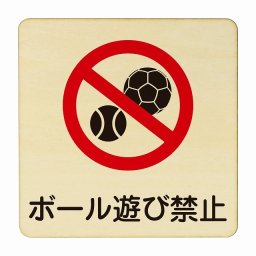ボール遊び禁止 医療用 病院 医者 診察 検査 検診 治療 クリニック ドクター 正方形 9x9cm Sサイズ ピクトサイン 木製 プレート カラープリント ウッドプレート インテリア 掲示 案内 安全対策