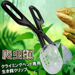 爬虫類 トカゲ 餌やり  簡単 生餌 カメレオン 送料無料