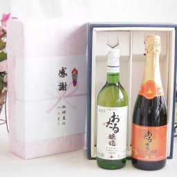 実りの秋の贈り物 感謝の贈り物ボックス おたる生葡萄100%ナイアガラワインと国産ワイン2本セット(おたる醸造 キャンベル赤スパークリングワインやや甘口(北海道)720mlナイアガラ白ワイン やや甘口(北海道)720ml