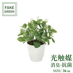 フェイクグリーン 人工観葉植物 ピトスポラム 2350a70 一部地域送料無料 光触媒 インテリア 代引き不可