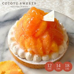 敬老の日 ハロウィン 御歳暮 お歳暮 早割 送料無料  TV多数紹介！オレンジ＆ピンクグレープフルーツチーズタルト 6号 フルーツタルト パーティー 大人 子供 記念日 お祝い 内祝 出産祝 お礼 お返し 人気 お取り寄せ お菓子 ケーキ 送料無料 翌日お届け お取り寄せスイーツ TVで紹介 熨斗対応 パーソナルラッピング対応 詰め合わせ 高級 おしゃれ 可愛い 冷凍発送