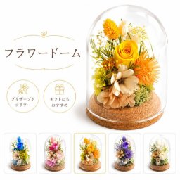 送料無料 プリザーブドフラワー ＜フラワードーム＞／メッセージラベル 花 メッセージカード 結婚記念日 プレゼント ギフト 結婚祝い ウェディング 新郎 新婦 誕生日 プロポーズ お祝い 女性 妻 ナチュラル かわいい おしゃれ フラワー 開店祝い 入学祝い 卒業祝い バラ  母の日