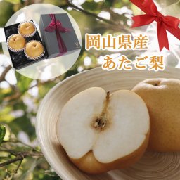 夏ギフト お中元 ギフト 【12月上中旬からお届け】 誕生日 プレゼント フルーツ ギフト梨 【あたご梨 3玉】 岡山県産 食べ物 果物 化粧箱入り リボン