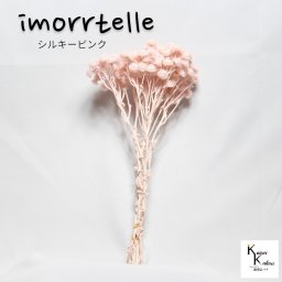 大地農園 プリザーブドフラワー カラー全５色 「イモーテル 1束 シルキーピンク 」プリザ 花材 ハーバリウム おしゃれ かわいい プレゼント 贈り物　オオチノウエン ドライフラワー スワッグ ブーケ