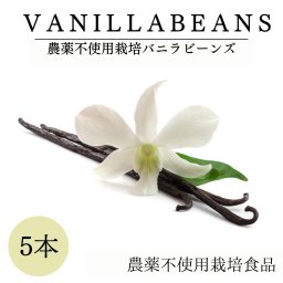 【送料無料】最高級 Sグレード バニラビーンズ 5本 【 マダガスカル産 / ブルボン種 / お菓子作りやコーヒーなどのアクセントに 】 農薬不使用栽培 バニラ ビーンズ バニラエッセンス 鎌倉てとら [ 鎌倉香辛料 ]