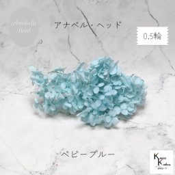 メール便で発送 大地農園！プリザーブドフラワー 「ソフトアナベルアジサイ ベビーブルー 0.5輪分」 プリザ アジサイ 紫陽花 花材 ハーバリウム おしゃれ かわいい プレゼント 贈り物 オオチノウエン アナベルアジサイ・ヘッド