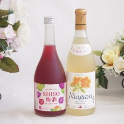 鍛高譚の梅酒と国産ワインセット(北海道の詩 完熟ナイヤガラ白ワイン 甘口(北海道)720ml鍛高譚梅酒720ml