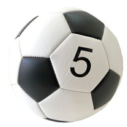 サッカーボール 練習球 亀甲 5号球 5137 サッカー ボール 一般 大人 子供 公園