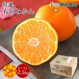 お中元 暑中見舞い ギフト 誕生日 結婚祝い 出産祝い 内祝い ギフト お歳暮 みかん 2.5kg 贈答用 秀品 特選 送料無料 和歌山 S～２L 混合 伊藤農園 小玉 大玉 中玉 手詰め 有田みかん 温州みかん 果物 柑橘贈答 ギフト