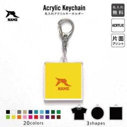 プテラノドン4 キーホルダー 名入れ 名入れキーホルダー アクリルキーホルダー アクキー チャーム キーリング アクセサリー 恐竜 化石 肉食 草食 雑食 海 陸 