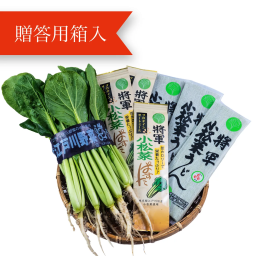 【6月～9月まで販売停止】BIG!江戸川区産小松菜づくし（贈答用箱＆専用BOX使用）麺類【送料無料】