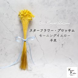 大地農園　「スターフラワー ブロッサム モーニングイエロー 半束」  小花 ドライフラワー ハーバリウム アロマワックスバー サシェ キャンドル 花材
