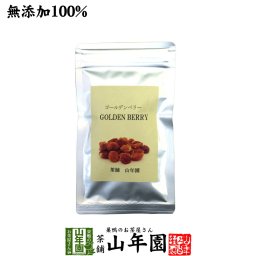 【無添加100%】ゴールデンベリー(インカベリー) 100g ペルー産またはコロンビア産 ダイエット 食用ほおずき サプリ ドライフルーツ スープ スムージー スーパーフード 苗 セット ギフト プレゼント プチギフト お茶 敬老の日 2026 内祝い